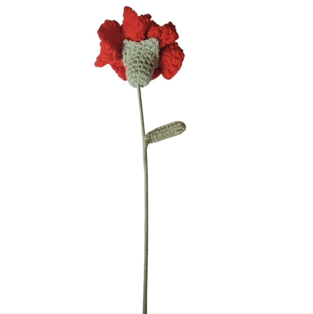 Handmade Red Crochet Carnation Flower Hand Crafted Botanical Faux Floral Gift - Picture 8 of 17